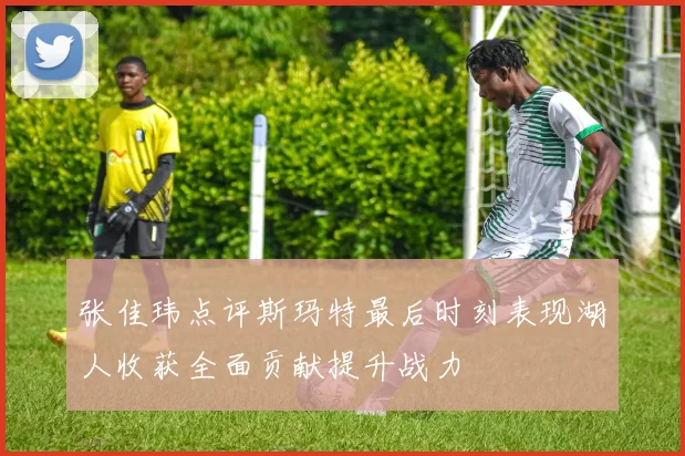 张佳玮点评斯玛特最后时刻表现湖人收获全面贡献提升战力