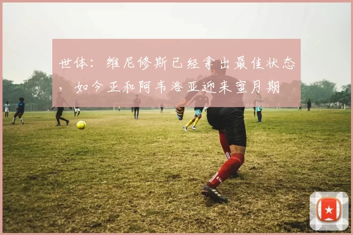 世体：维尼修斯已经拿出最佳状态，如今正和阿韦洛亚迎来蜜月期